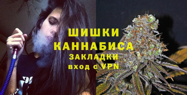 МДПВ Гусев