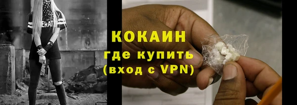 МДПВ Гусев