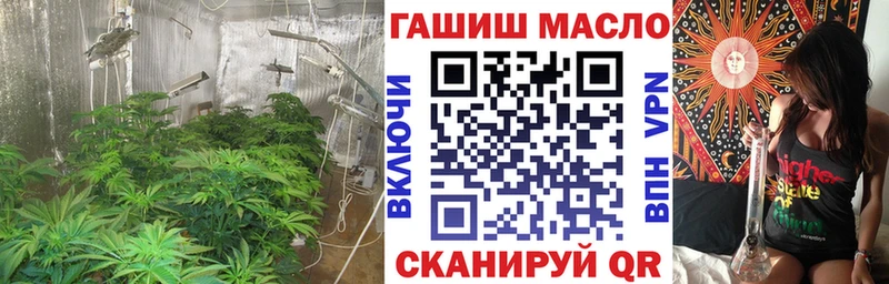 ТГК THC oil  Щигры 