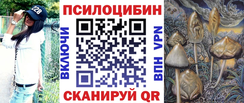 Псилоцибиновые грибы мицелий  Щигры 